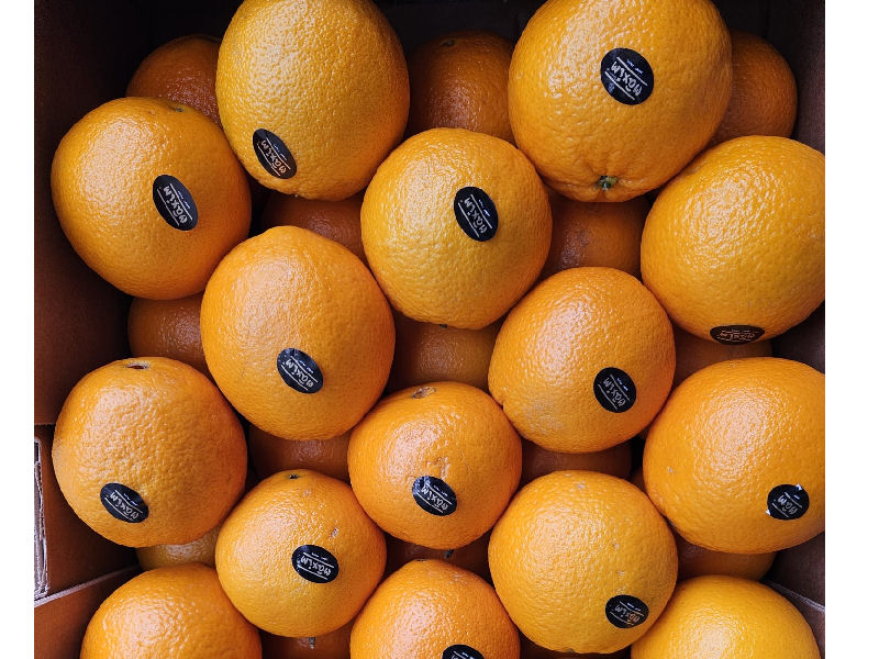 Fresh n Fruity, Lucan, Co. Dublin