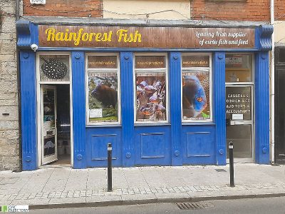 Rainforest Fish, Navan, Co. Meath