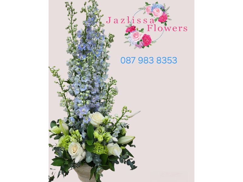 Jazlissa Flowers, Clonee Village, Dublin 15