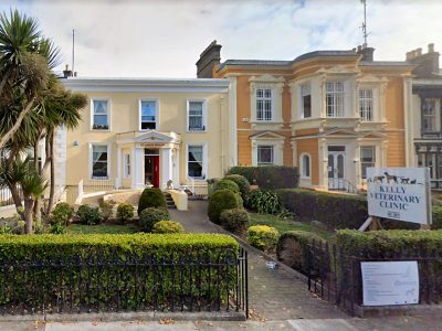 Kelly Veterinary Clinic, Dun Laoghaire, Co. Dublin